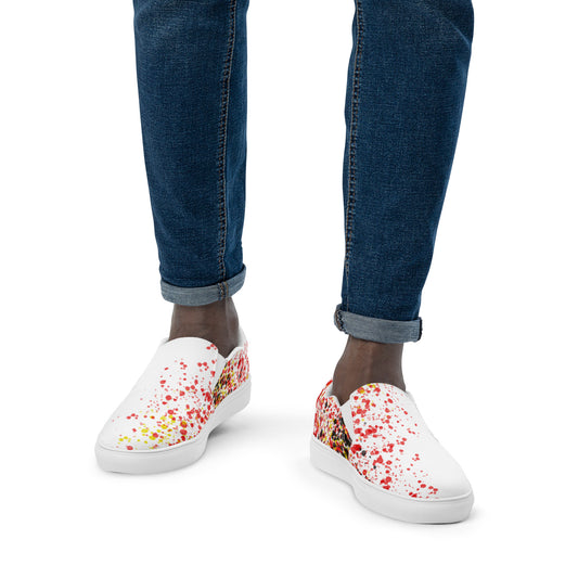 Men’s slip-on canvas shoes